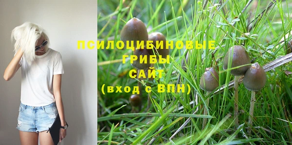 стаф Белоозёрский