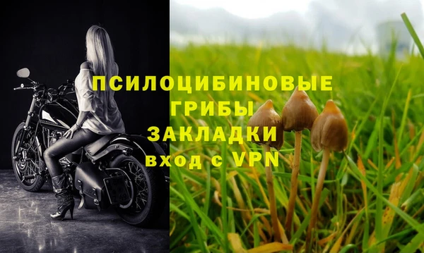 стаф Белоозёрский