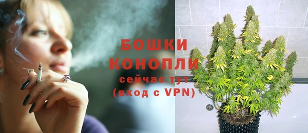 стаф Белоозёрский