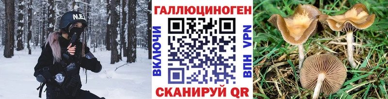 Псилоцибиновые грибы Psilocybine cubensis  купить   Бутурлиновка 